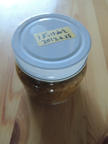 2013-04-01 13.02.46.jpg
