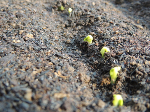 2013-04-02 15.18.04.jpg