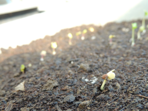 2013-04-02 15.18.38.jpg
