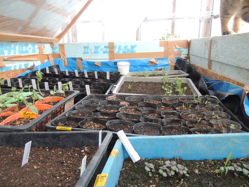 2013-04-19 17.31.45.jpg