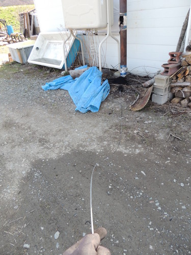 2013-05-08 09.09.45.jpg