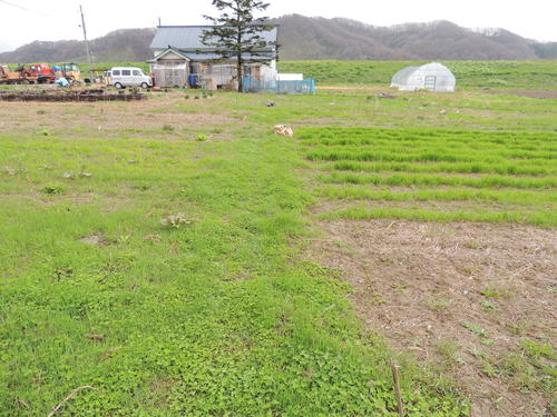 2013-05-16 06.50.57.jpg