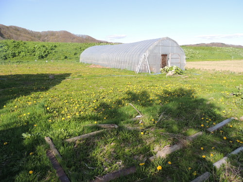 2013-05-24 15.59.04.jpg
