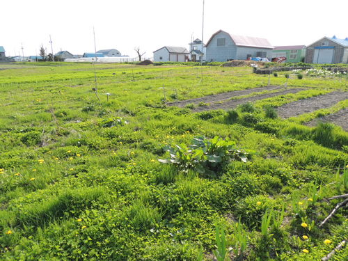 2013-05-24 15.59.43.jpg