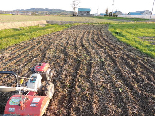 2013-05-24 18.05.11.jpg