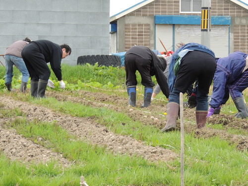 2013-05-25 14.20.27.jpg