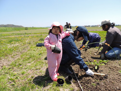 2013-05-26 11.32.53.jpg