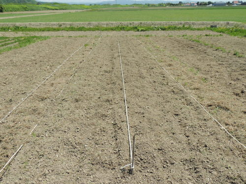 2013-06-05 11.35.28.jpg