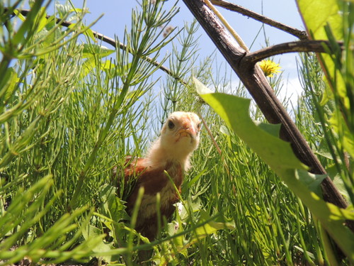 2013-06-05 11.38.20.jpg