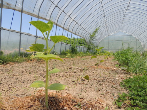 2013-06-05 11.42.04.jpg
