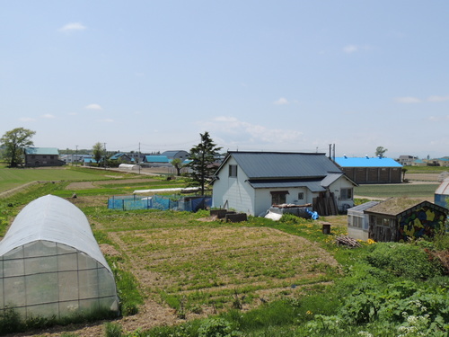 2013-06-05 11.44.12.jpg