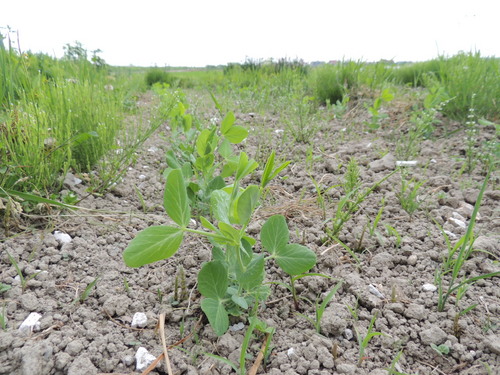 2013-06-14 07.27.24.jpg
