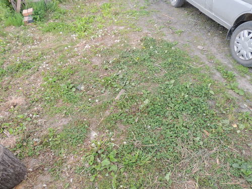 2013-06-14 07.32.30.jpg