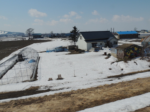 2014-04-01 10.27.12.jpg