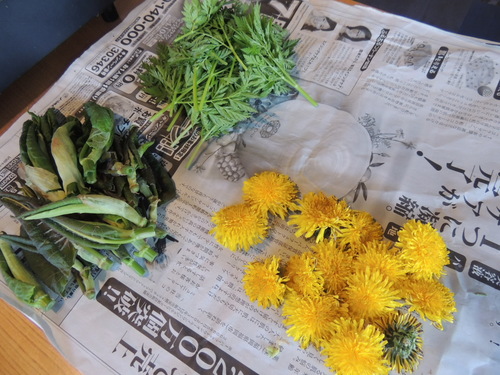 2014-05-11 11.52.15.jpg