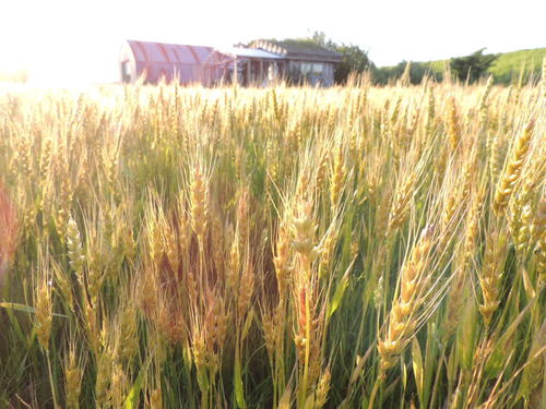 DSCN0026.JPG