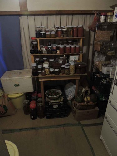 DSCN2541.jpg