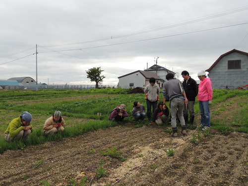 DSCN4160.JPG