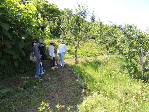 DSCN4264.JPG
