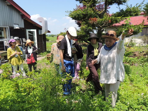 DSCN4377.JPG