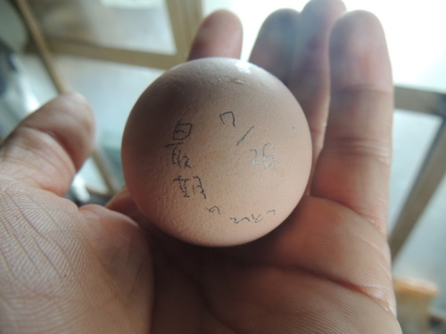 DSCN4973.JPG