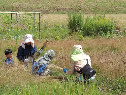 DSCN5062.JPG