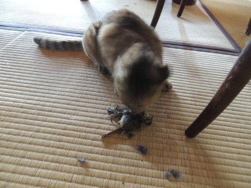 DSCN5472.JPG