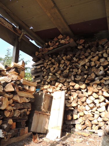 DSCN6099.JPG