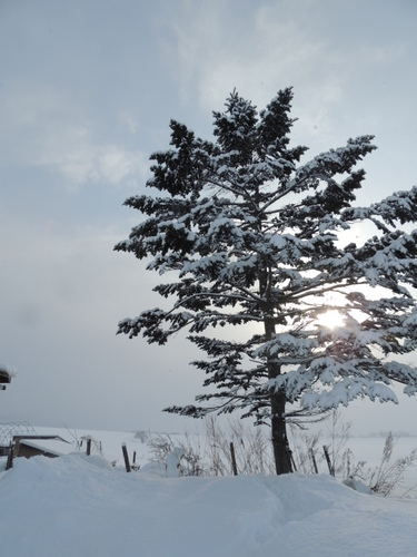 DSCN6810.JPG