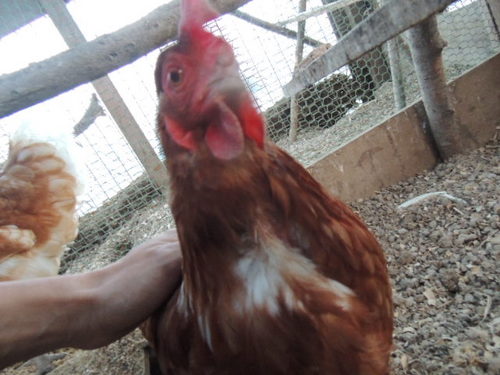 DSCN7708.JPG