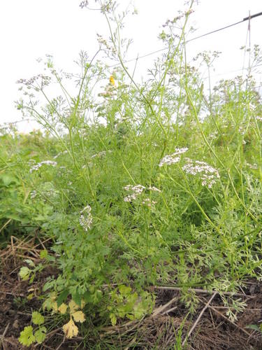 DSCN9548.JPG