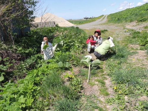 DSCN9977.JPG