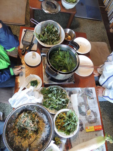 DSCN9986.JPG