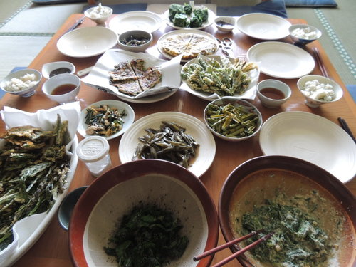 DSCN9993.JPG