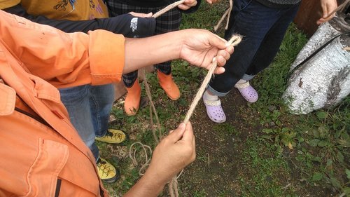 IMG_20190907_160114.jpg