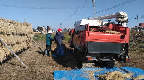 IMG_20191023_112428.jpg