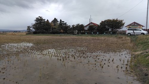 IMG_20191108_144104.jpg
