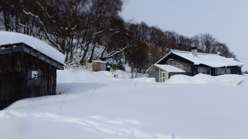 P2090154.JPG
