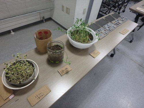 P2250223.JPG