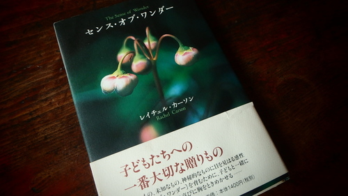 P3311088.JPG