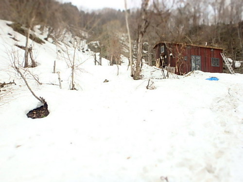 P4050170.JPG