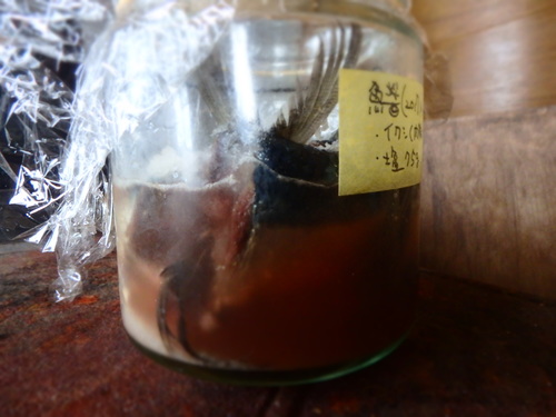 P4150046.JPG