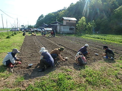 P5260559.JPG