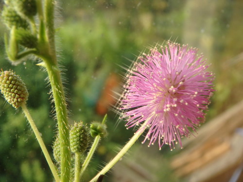 PA021023.JPG