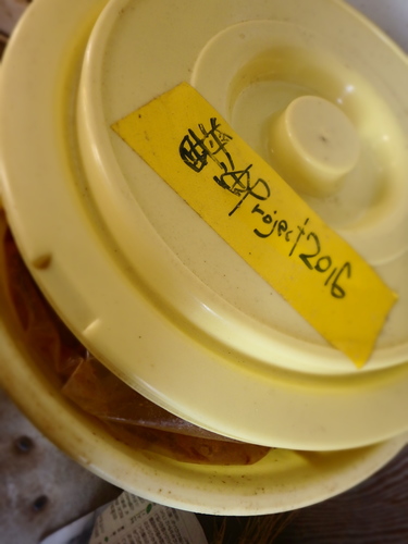 PA130180.JPG