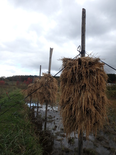 PA140935.JPG