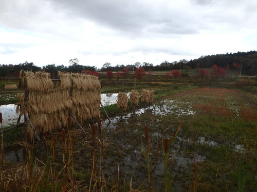 PA140937.JPG