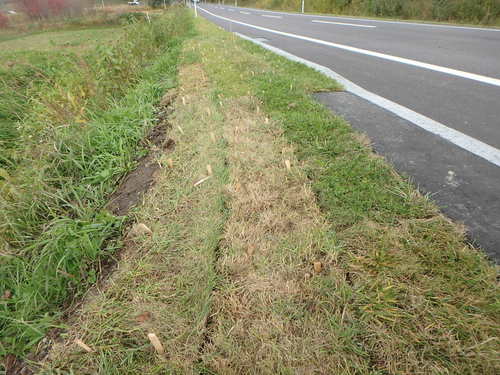 PA140942.JPG
