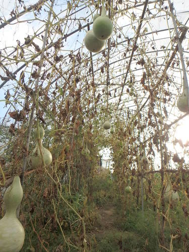 PA140962.JPG