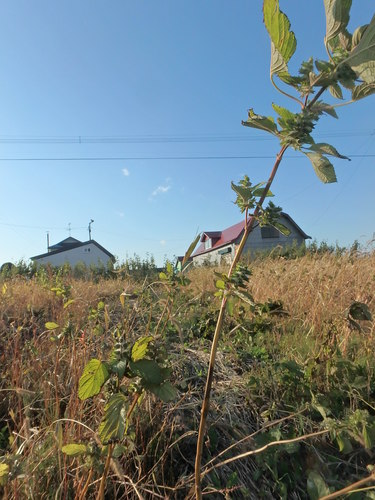 PA150976.JPG